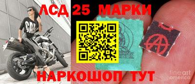 крисы Можга