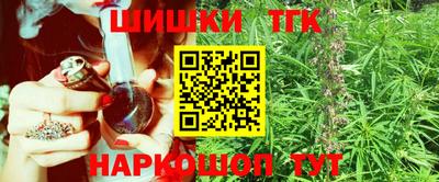 крисы Можга