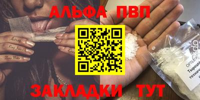крисы Можга